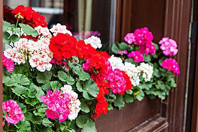 澳大利亚16岁以下青少年或被禁用社交媒体 但不包括PSN